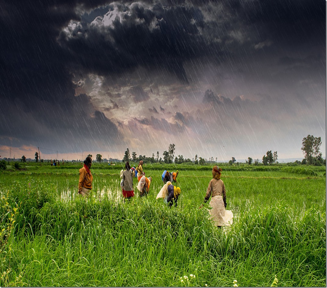 Farming in India Before the Onrushing Storm.